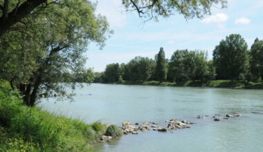 Nature. Découvrez les Îles et Lônes du Rhône, laboratoire de la biodiversité au sud de Lyon