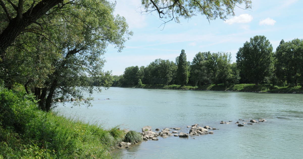 Nature. Découvrez les Îles et Lônes du Rhône, laboratoire de la biodiversité au sud de Lyon