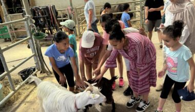 Vandœuvre-lès-Nancy. Grands sourires pour les petits cavaliers d’Ark En Ciel à la ferme