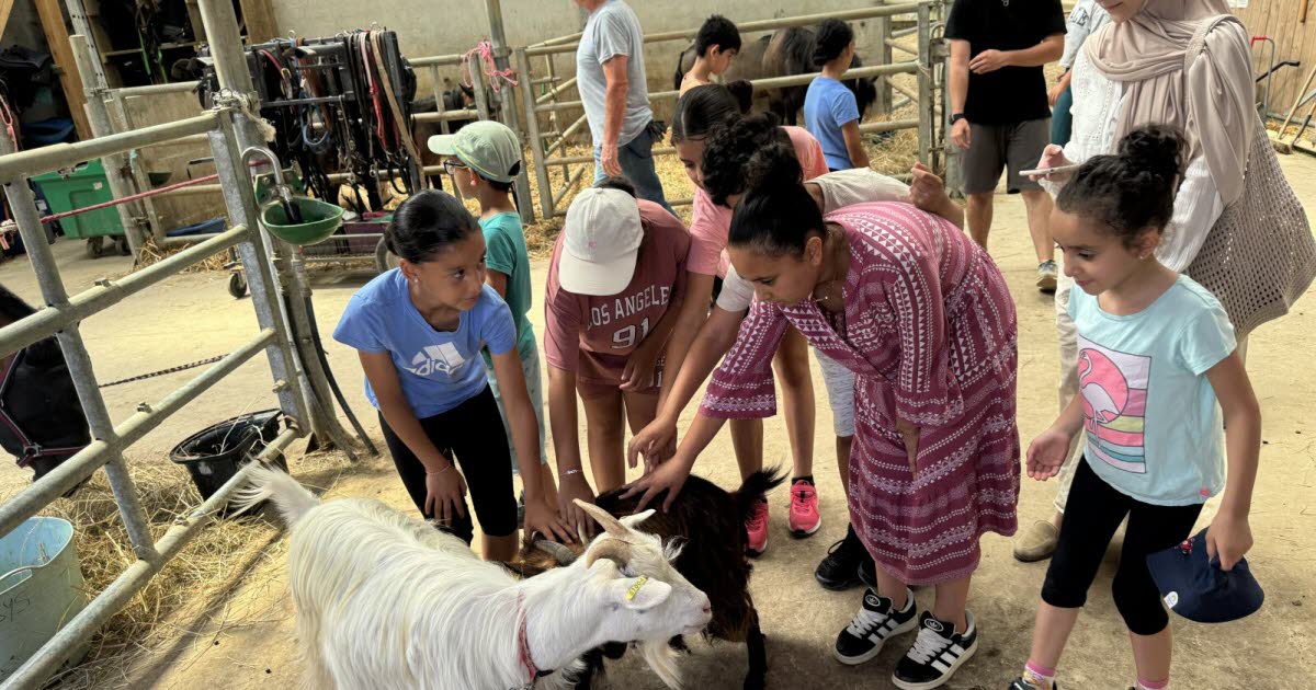 Vandœuvre-lès-Nancy. Grands sourires pour les petits cavaliers d’Ark En Ciel à la ferme