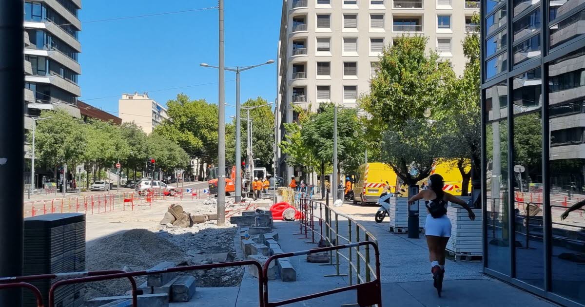 Lyon. Piétonnisation cours Charlemagne : les riverains sont partagés