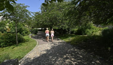 un jardin au charme japonisant apprécié pour son calme et ses floraisons printanières
