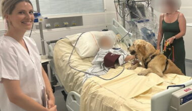 en réanimation au CHU, ils reçoivent la visite de leur chien
