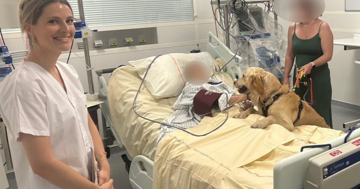 en réanimation au CHU, ils reçoivent la visite de leur chien