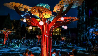 Courrier des lecteurs. Les trop petits arbres de la place du Château, l'enfer du pont d'Anvers... c'est vous qui le dites