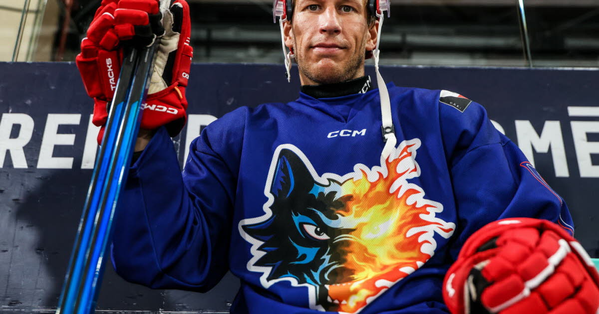 Hockey sur glace - Ligue Magnus. « Tout est nouveau pour moi » : Fredric Weigel de la Suède aux Brûleurs de loups