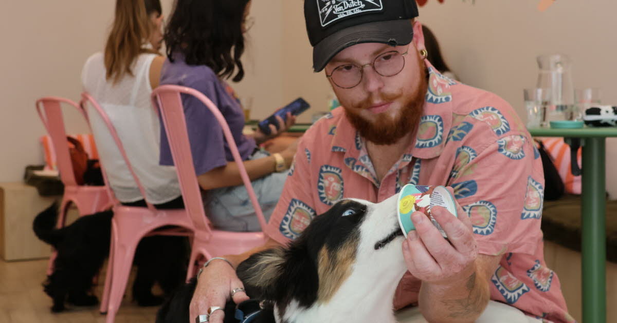 « J’ai voulu créer un Disneyland pour chien »