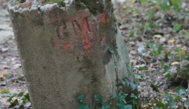 Pulnoy. La forêt communale du début de notre ère à nos jours