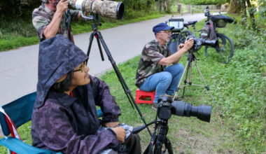 qui sont les photographes animaliers du Doubs