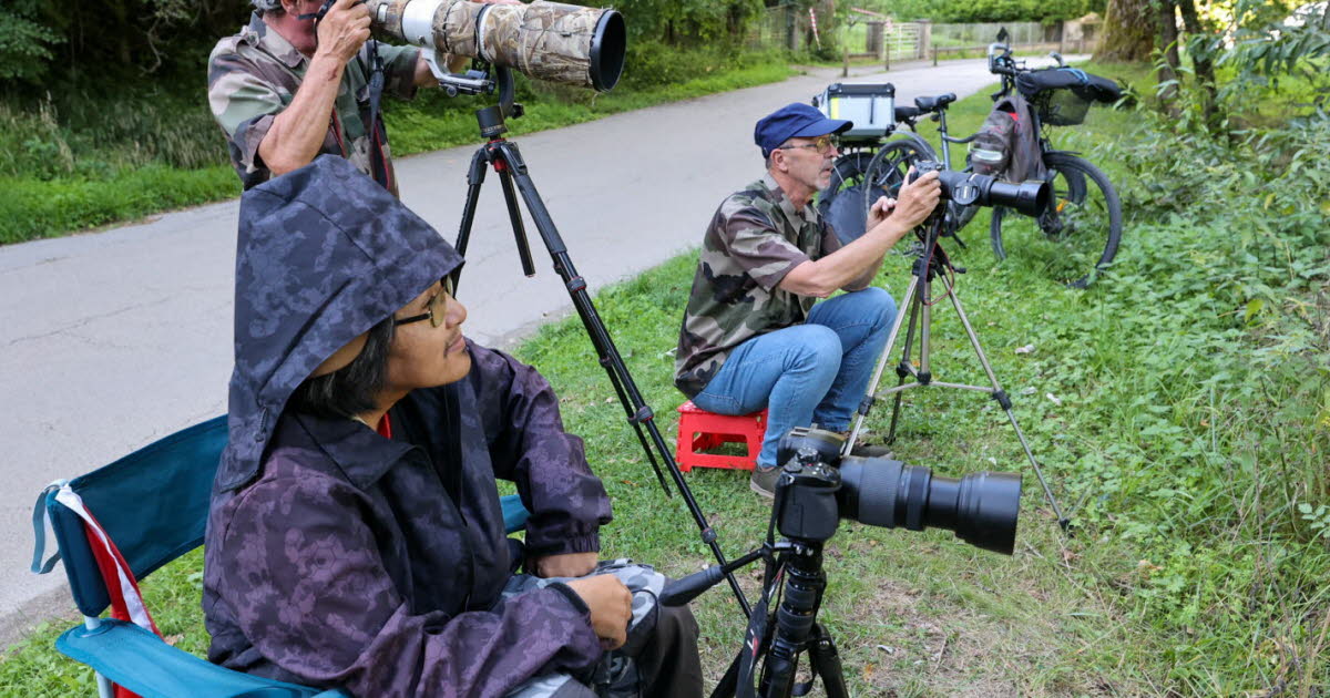 qui sont les photographes animaliers du Doubs