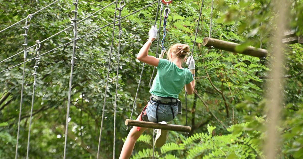 Saint-Jean-Bonnefonds. Tyroliennes, ponts suspendus, filets… On a testé pour vous le parc France Aventures﻿