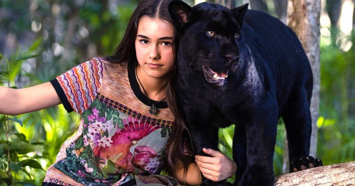 Cinéma en plein air : « Le dernier Jaguar »