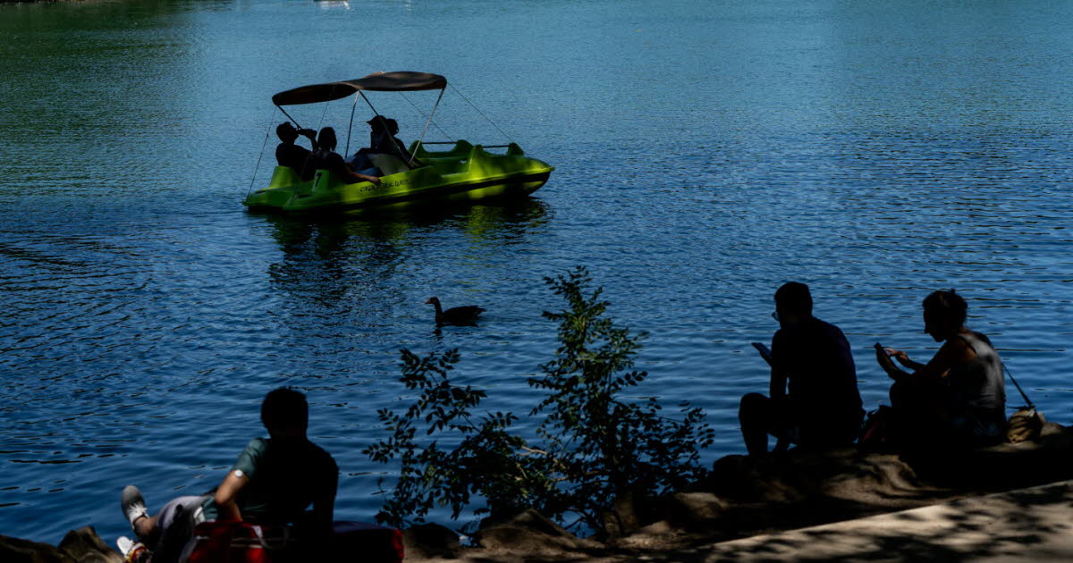 Rhône. Embarquez avec un scientifique sur le lac du parc de la Tête d’Or à Lyon