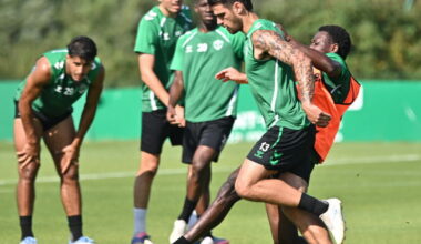 que doit apporter Joao Ferreira à l’ASSE ?