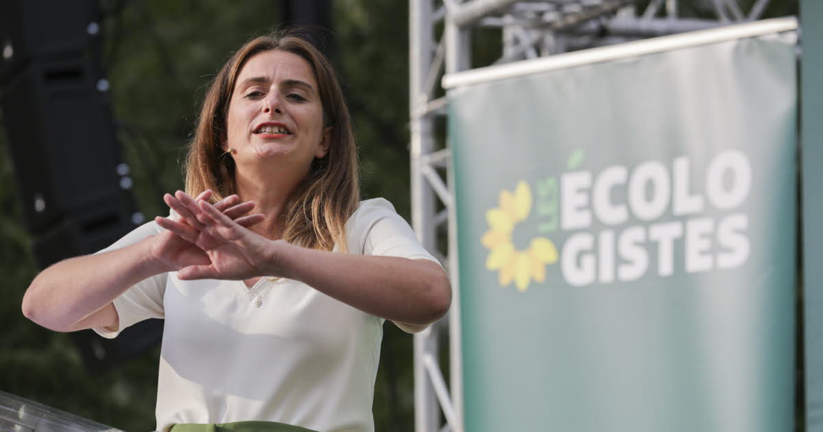 Strasbourg. Pour leur rentrée politique, les Écologistes plaident pour une primaire à gauche face au RN