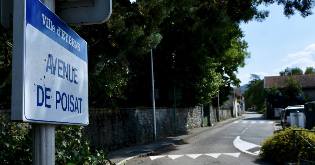 Isère. À 80 ans, elle contracte le chikungunya : « Pas besoin d’aller sous les tropiques » - Le Dauphiné Libéré