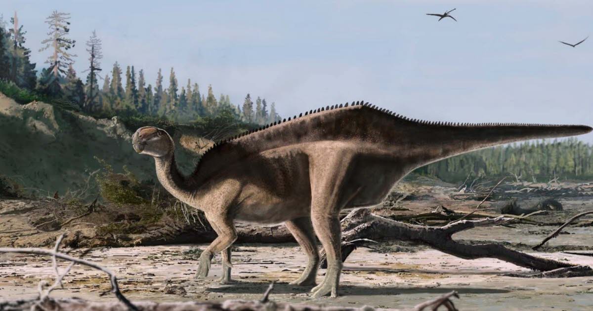 une nouvelle espèce de dinosaure découverte