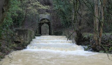 Balade nature au fil de l’eau