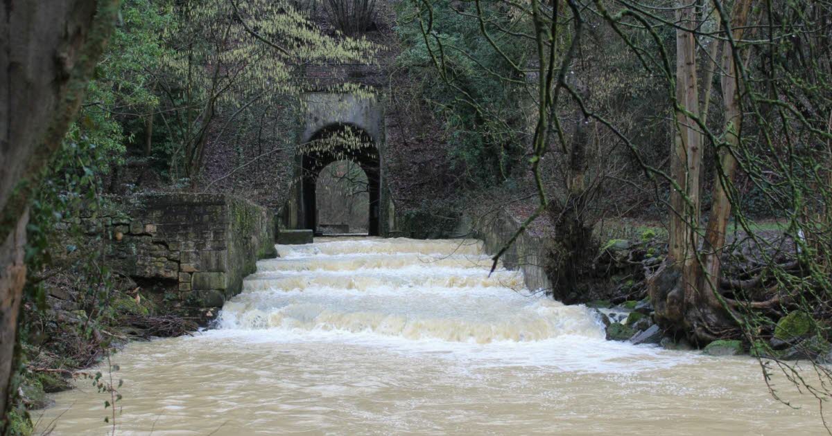 Balade nature au fil de l’eau