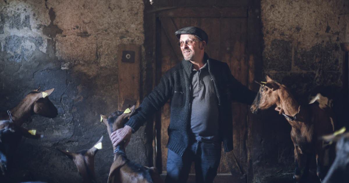 Denis, le candidat qui fait déjà le buzz