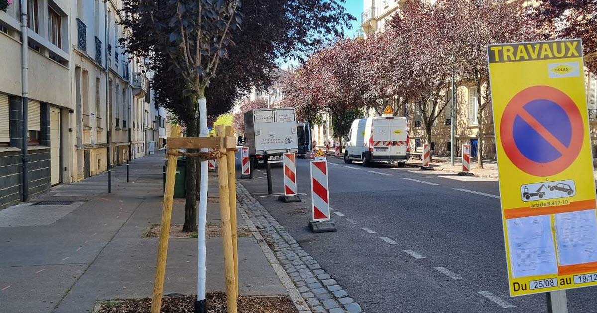 le stationnement et la circulation perturbés