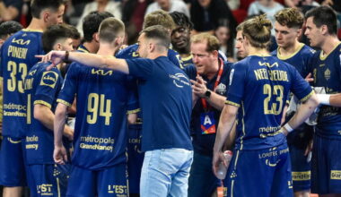 Handball . Et maintenant, quel avenir sportif pour le Nancy Handball ?