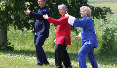Strasbourg - Bischoffsheim - Batzendorf. Les cours de taï-chi et chi gong reprennent à partir du 8 septembre