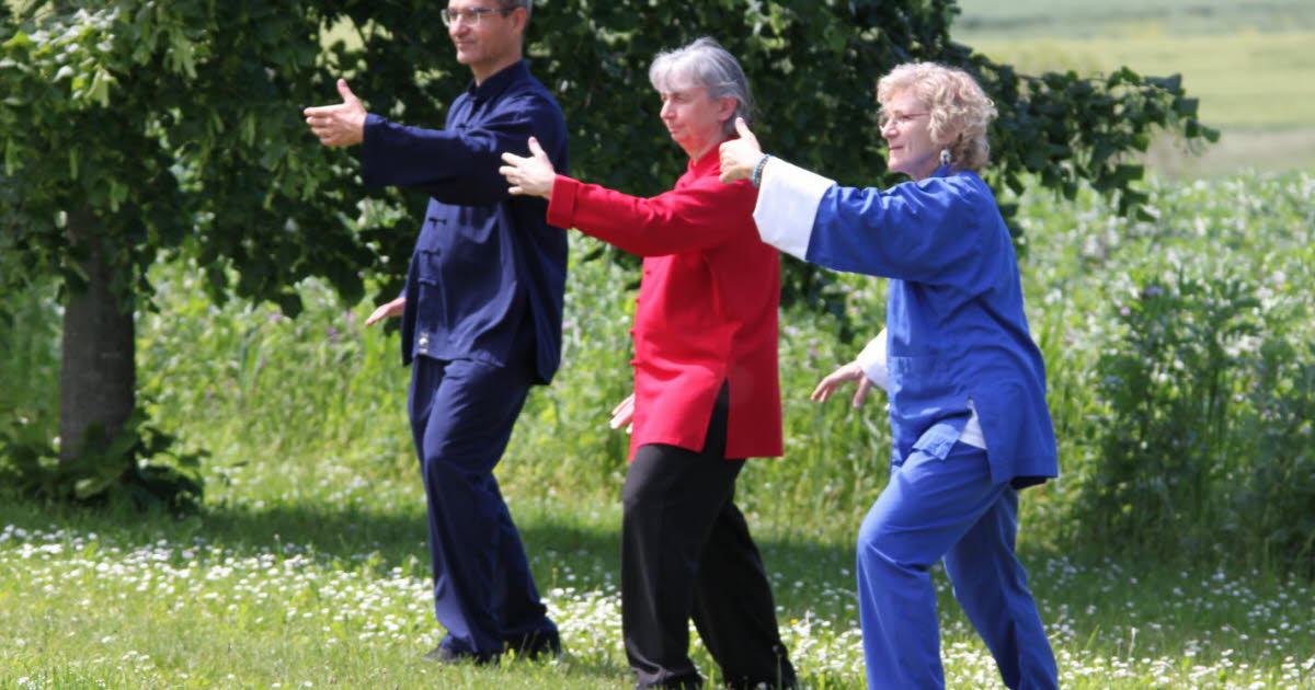 Strasbourg - Bischoffsheim - Batzendorf. Les cours de taï-chi et chi gong reprennent à partir du 8 septembre