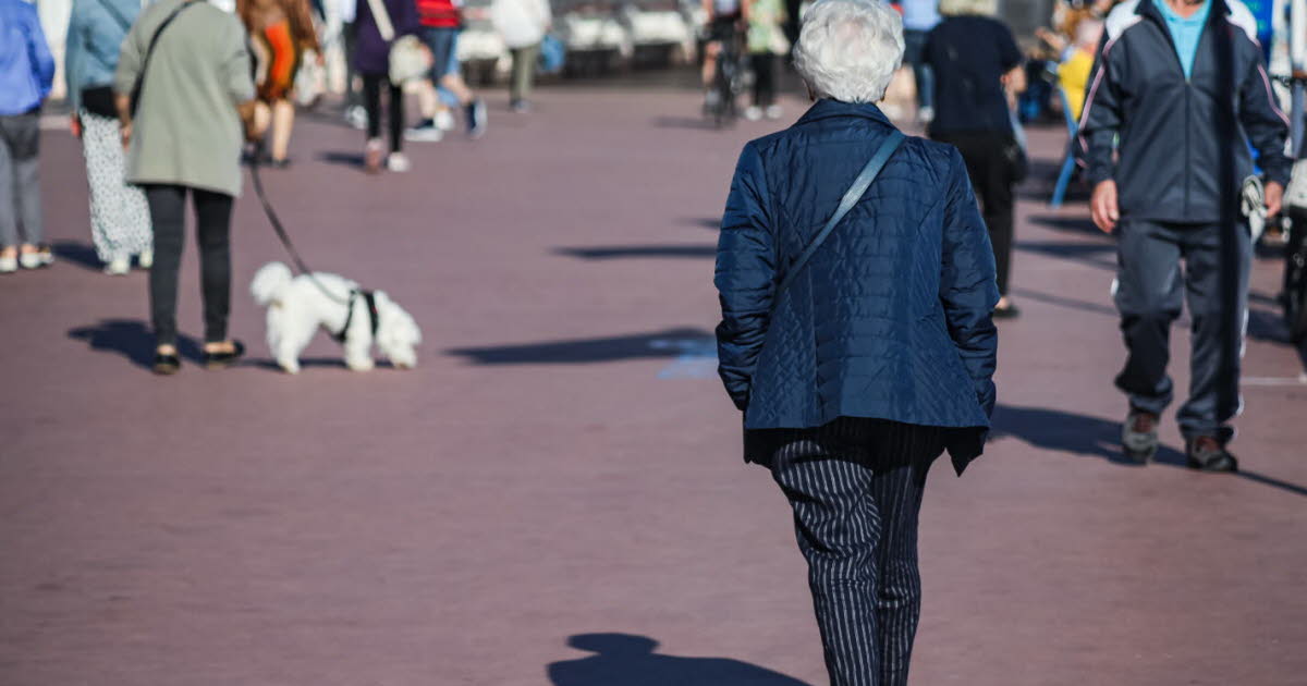 pickpocket, cambrioleur et arracheur de colliers, il doit s’expliquer devant le tribunal