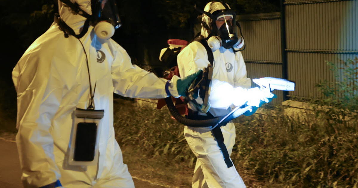 Métropoe de Grenoble. Neuf nouveaux cas de chikungunya à Eybens : tout ce qu’il faut savoir - Le Dauphiné Libéré