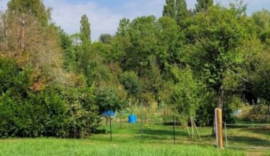 Chaligny. Encore des vols de légumes aux Pâquis