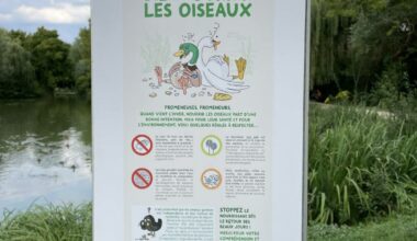 une affiche pour protéger les canards