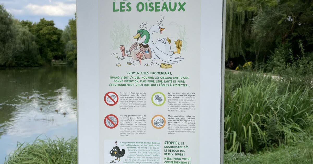 une affiche pour protéger les canards