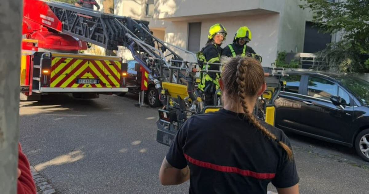 pourquoi les pompiers agissent après 24 heures