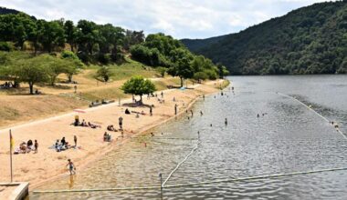 Environnement. La baignade dans la Loire est interdite à la base nautique Saint-Victor-sur-Loire