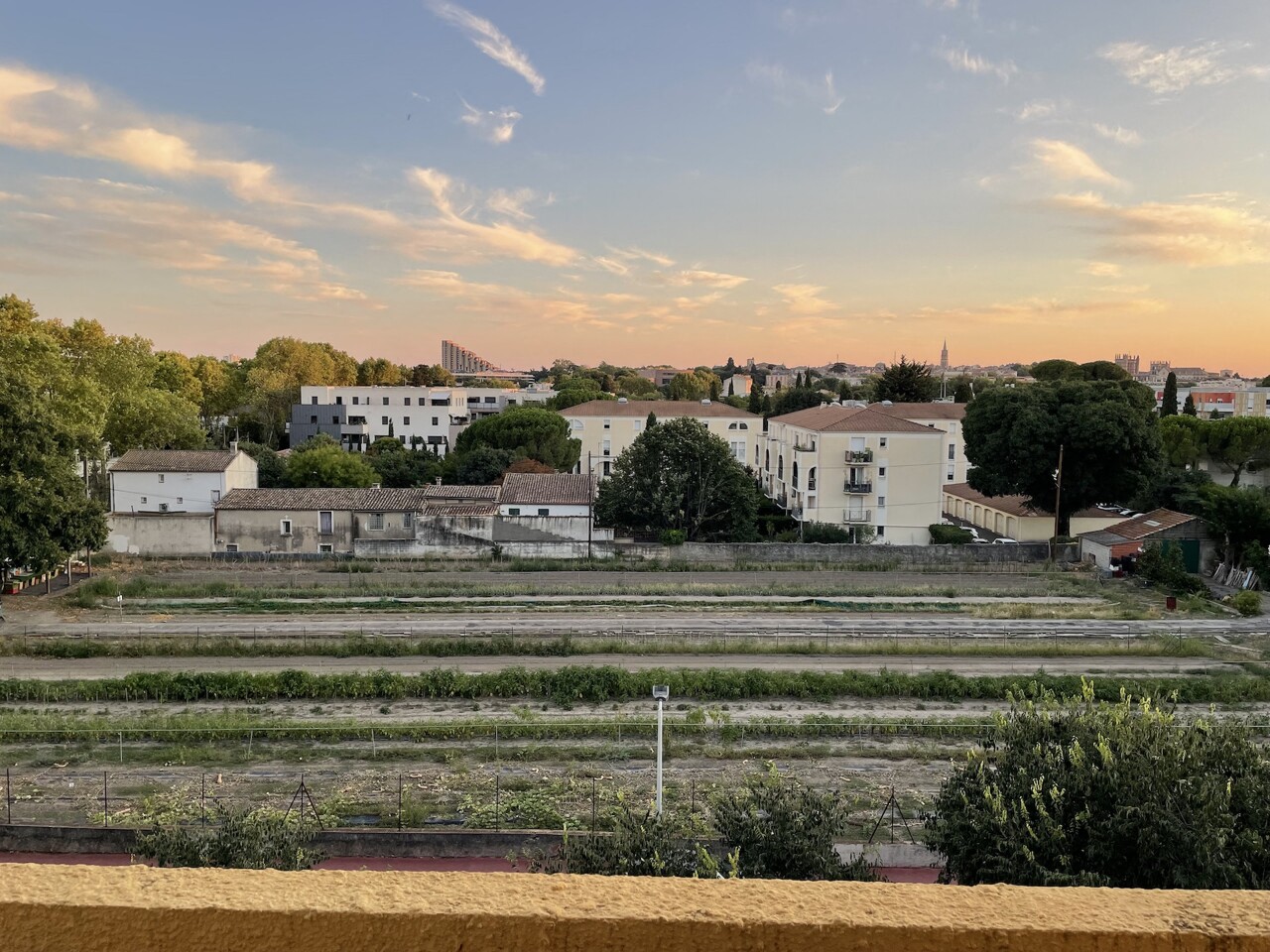 la Cité Bergère, dernière terre agricole menacée par un programme immobilier ?