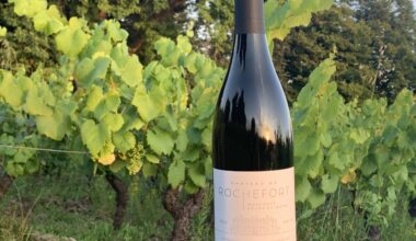 Droits de douane américains : le vin français sacrifié