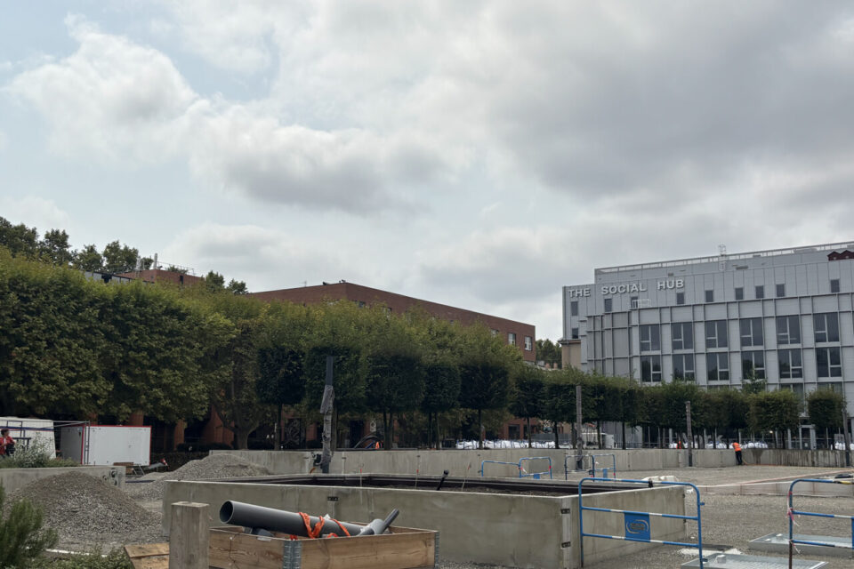 Toute la place sera entourée d'arbres, mais aussi de petites essences d'arbustes et végétaux.