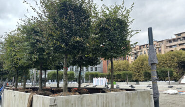 les premiers arbres sont plantés