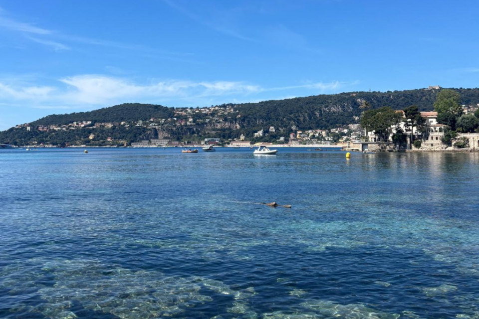 La plage de Grasseuil à Saint-Jean-Cap-Ferrat.