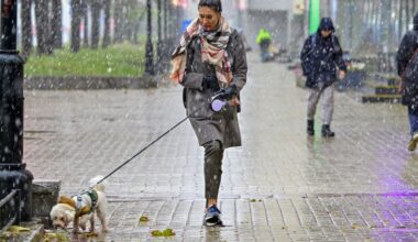 en Allemagne, l'impôt sur les chiens fait exploser les recettes fiscales