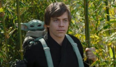 Voix française de Dustin Hoffman, Nicolas Cage, John Travolta ou de Luke Skywalker dans "Star Wars", le comédien Dominique Collignon-Maurin est décédé