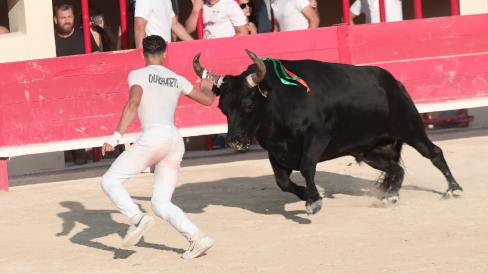 la manade Blatière-Bessac et Ismaël Oukharti s'illustrent à Mauguio (As)