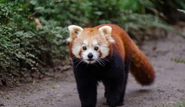 les 10 bonnes nouvelles de la semaine
