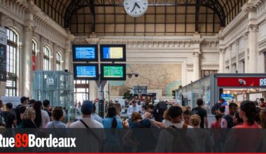 La suppression de trains Bordeaux-Marseille pour cause de canicule illustre "la déshérence de l'État sur le chemin de fer"