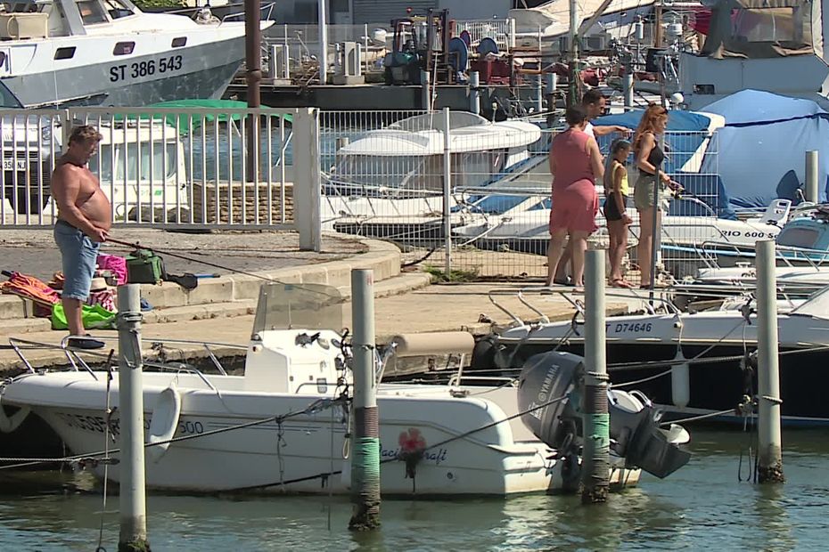 pourquoi après neuf mois de combat, la pêche est à nouveau autorisée dans le port de cette célèbre station balnéaire