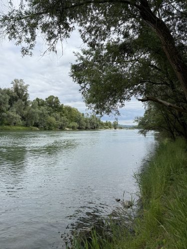 Saint Louis 2 pays base nautique permis bateau petite camargue East ParkIMG_8099