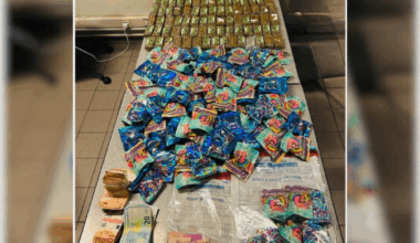 Toulouse. Plus de 13 kg de cannabis et 3100 € en liquide retrouvés au domicile du trafiquant