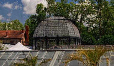 À Toulouse, ces sublimes serres abritent plus de 330 000 plantes, des glycines centenaires et un monument historique