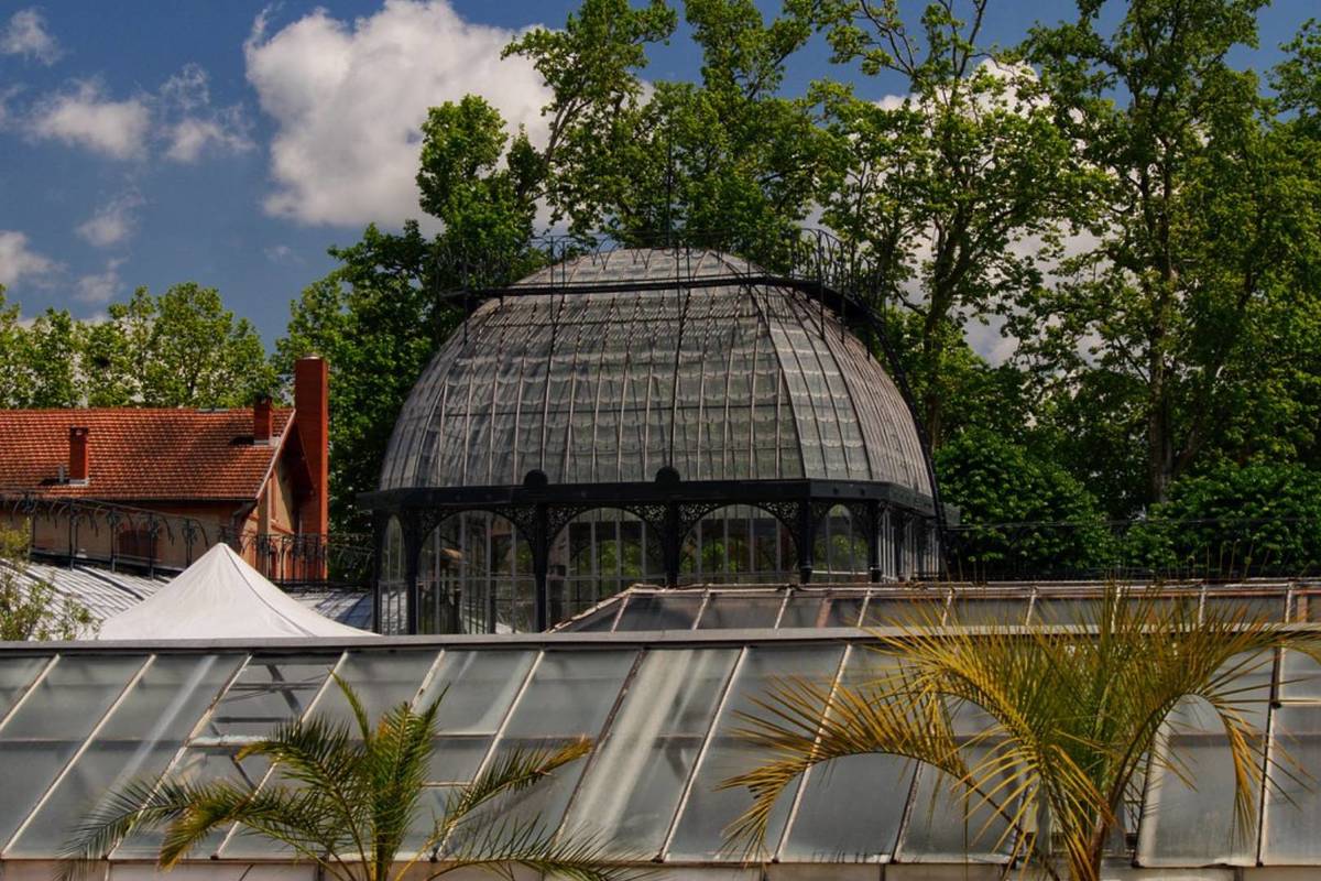 À Toulouse, ces sublimes serres abritent plus de 330 000 plantes, des glycines centenaires et un monument historique